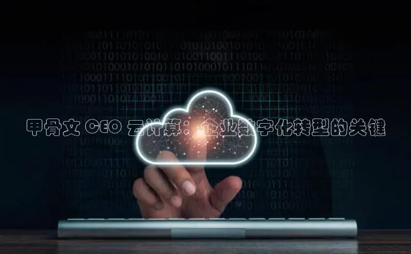 EON4代理百度手机卫士甲骨文 CEO 云计算：企业数字化转型的关键