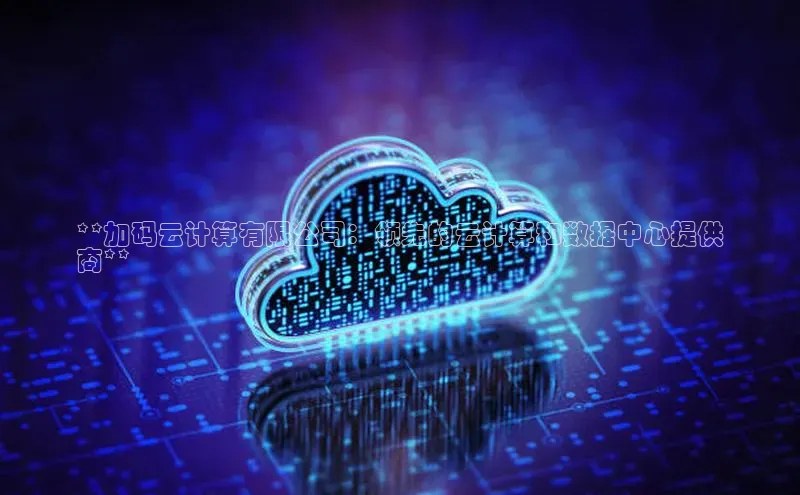 意昂体育4百度手机助手**加码云计算有限公司：领先的云计算和数据中心提供
商**