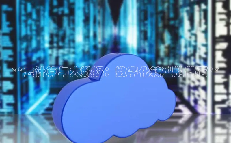 EON4登录百度营销中心**云计算与大数据：数字化转型的基石**