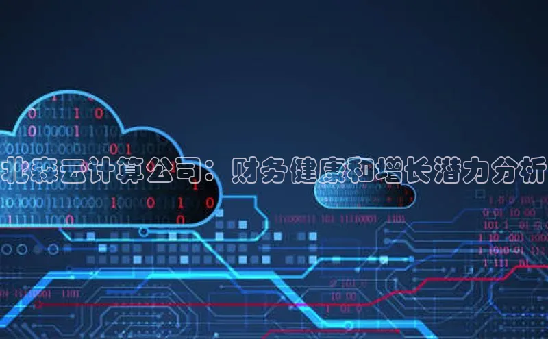 意昂体育4招商华扬联众北森云计算公司：财务健康和增长潜力分析