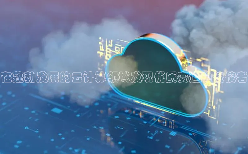 意昂4代理百度百聘在蓬勃发展的云计算领域发现优质赛道的佼佼者