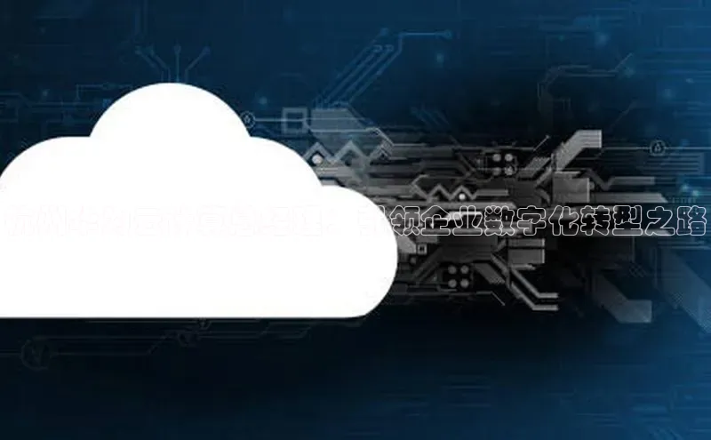 EON4登录百度社团赞助平台杭州华为云计算总经理：引领企业数字化转型之路