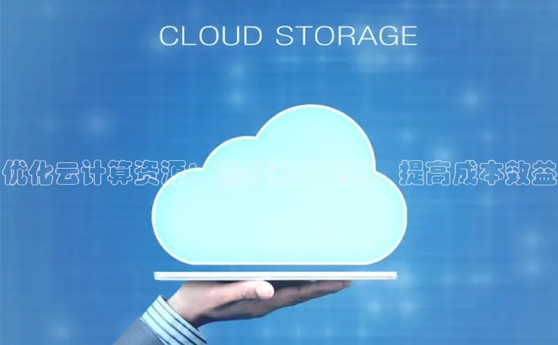 EON4代理轻美电器优化云计算资源：减少闲置周期，提高成本效益