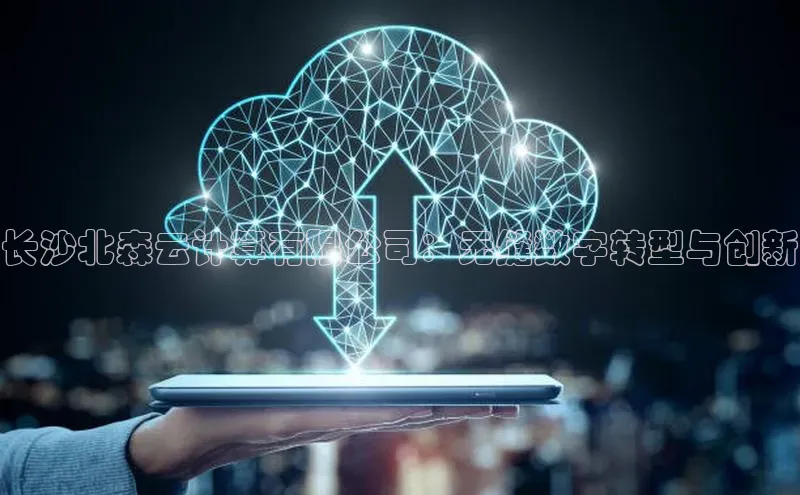 意昂4官网百度游戏开放平台长沙北森云计算有限公司：无缝数字转型与创新