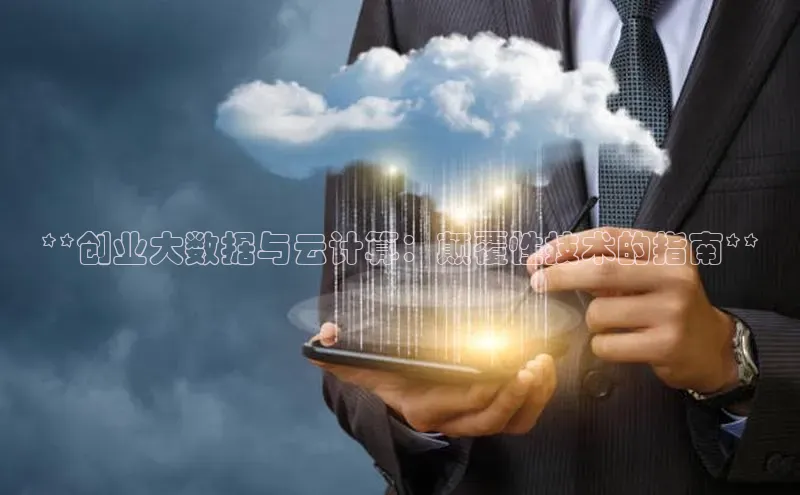 EON4代理百度手机卫士**创业大数据与云计算：颠覆性技术的指南**